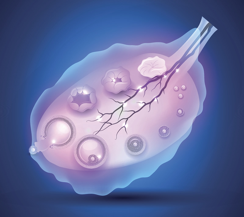 2026年昆明试管婴儿医院与冻精服务指南：附高、口碑好的生殖中心地址及医生名单